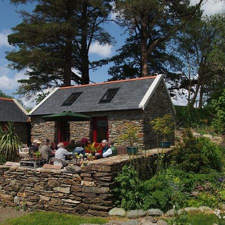 Ballycommane House & Garden Durrus Eksteriør bilde